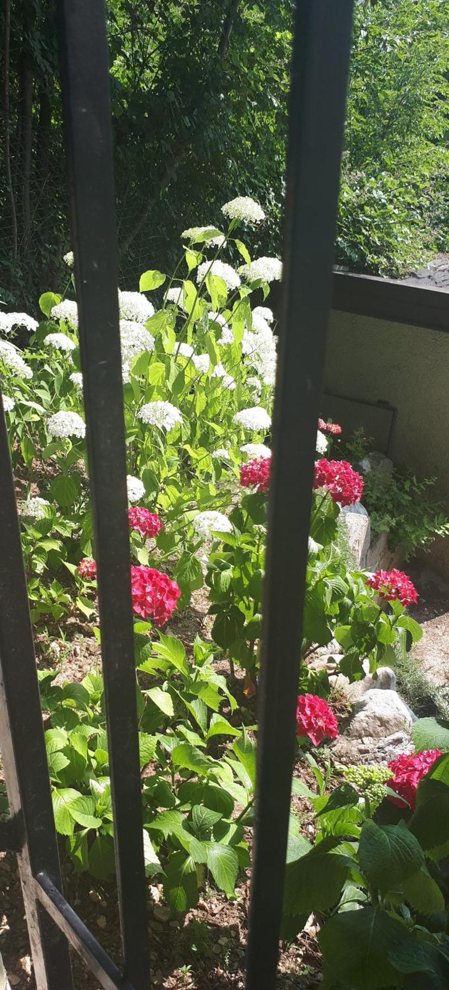 Ferienhaus In Tremosine Sul Garda Pieve  エクステリア 写真